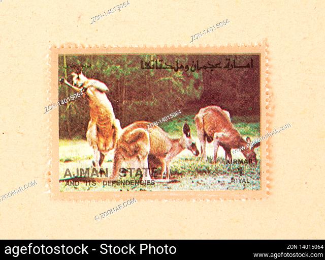 UNITED ARAB EMIRATES - CIRCA 1980: A stamp printed in the UAE shows kangaroes, circa 1980