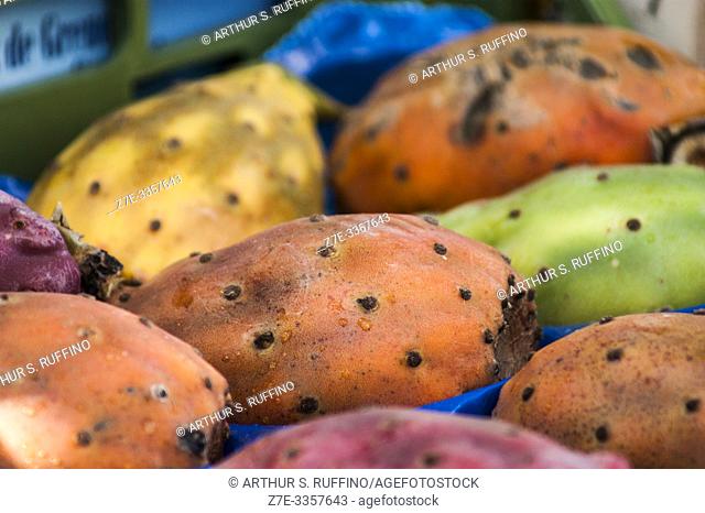 Prickly pear (Opuntia), produce market, Rome, Italy, Europe