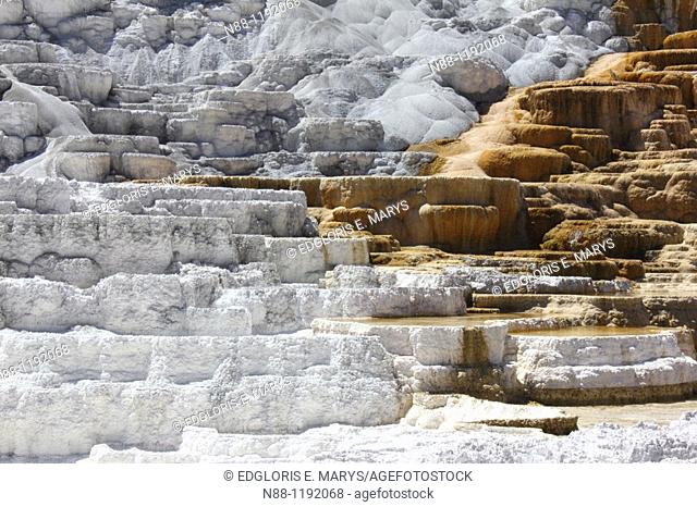 Detail of travertine terraces at Mammoth Hot Springs, Yellowstone National Park, Wyoming, USA