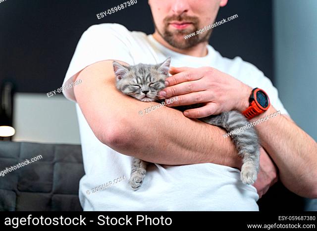 Pets love theme. Man very gently protects sleep of kitten breed British prime-eared holding in arms and stroking at home