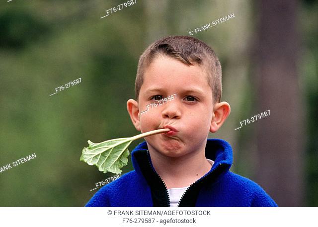 Boy with stalk of rhubarb