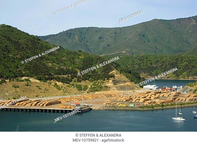 Timber trade - storage place for timber felled around the Marlborough Sounds at Picton Harbour