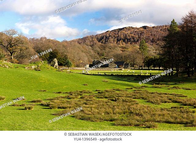 Farm in Lake District National Park, Nether End, Yewdale, Cumbria, England, Europe
