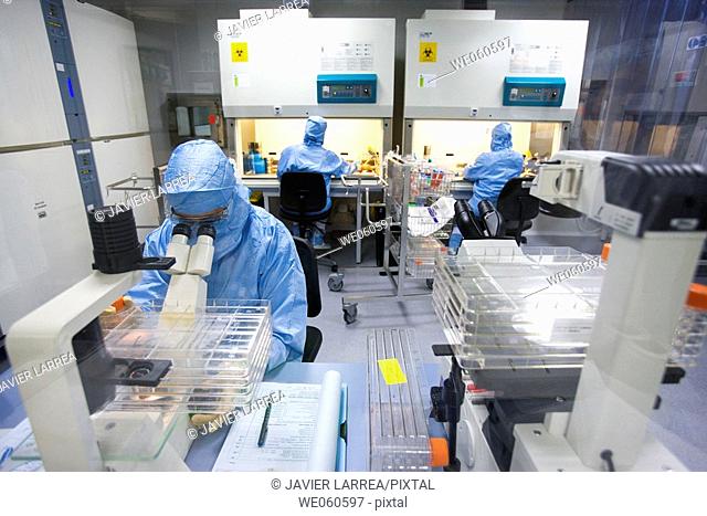 Clean room, looking through the microscope and preparing DMEM (DulbecoÂ's Modified EagleÂ's Medium), biopharmaceutical lab