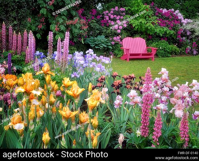 Garden chair and flower garden, Schrieners Iris Gardens, Salem, Oregon, USA