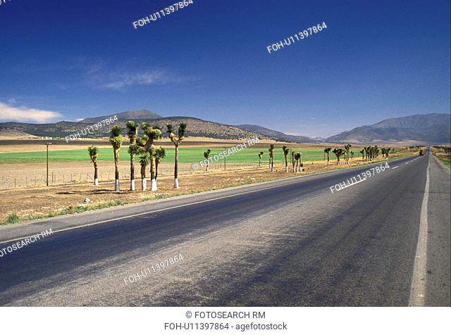 road, highway, Mexico, Route 57 stretches for miles in the barren land of Sierra Madre Oriental