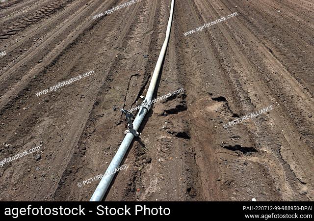 11 July 2022, Bavaria, Kitzingen: An irrigation pipe lies on the sandy soil of a vegetable field. With not even ten liters of precipitation per square meter