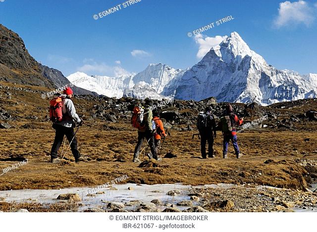 Trekking group at Chola Khola valley near Dzonglha in front of Ama Dablam (6856), Sagarmatha National Park, Khumbu Himal, Nepal