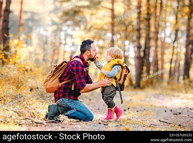 A small toddler boy giving an apple to his father in an autumn forest