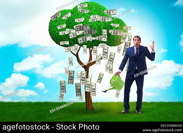 The businessman watering money tree in investment concept