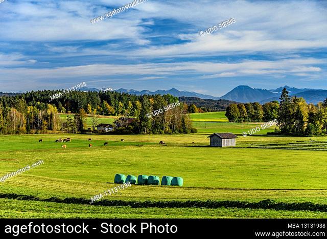 Germany, Bavaria, Upper Bavaria, Tölzer Land, Dietramszell, district Humbach, cultural landscape against Mangfall Mountains