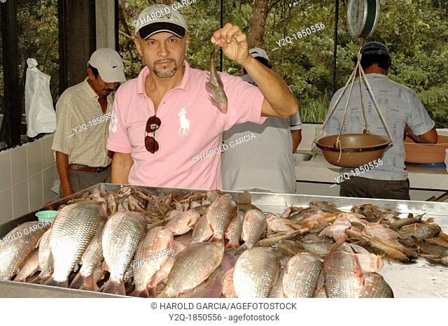 Fish buyer, Colombia, South America