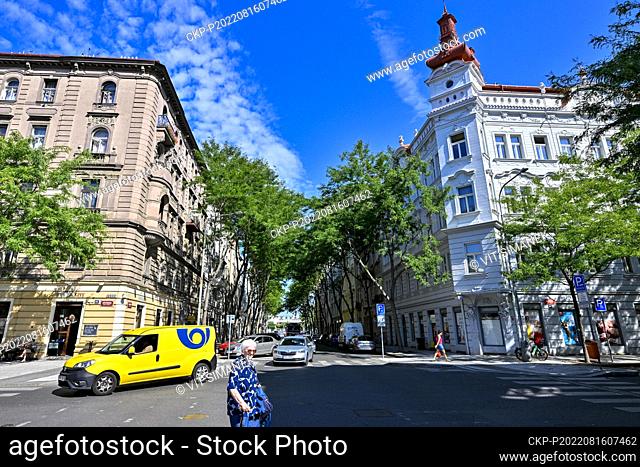 A tree avenue in Saldova Street in Prague's Karlin district, August 16, 2022. (CTK Photo/Vit Simanek)
