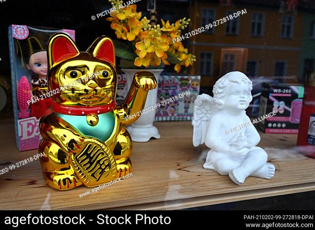 01 February 2021, Mecklenburg-Western Pomerania, Loitz: A Maneki Neko gold waving cat stands in a shop window in the town centre of Loitz in the district of...