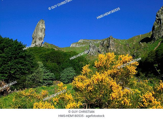 France, Puy de Dome, Auvergne Volcanoes Natural Regional Park, Chaudefour Valley Nature Reserve, Sancy Massif, Monts Dore