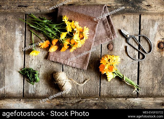 Preparation of yellow blooming marigolds