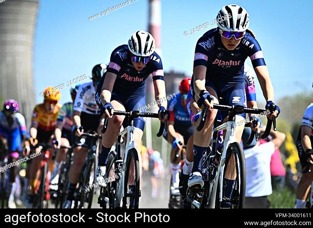 Illustration picture shows the pack of riders in action during the second edition of the women elite race of the 'Paris-Roubaix' cycling event, 124