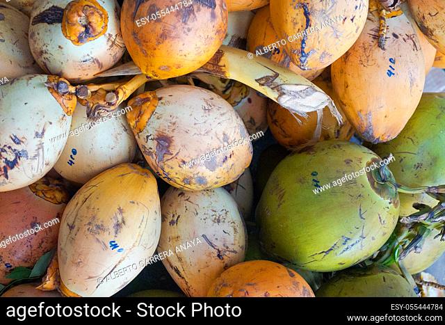 Coconuts, Fruit Market, Male, North Male Atoll, Maldives, Indian Ocean, Asia