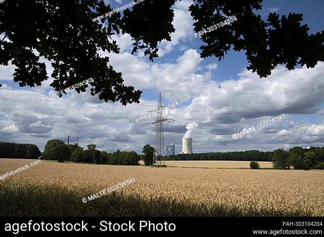 Datteln 4 coal-fired power plant, steam rising from the cooling tower, in the foreground a wheat field, a high-voltage pylon, overhead line