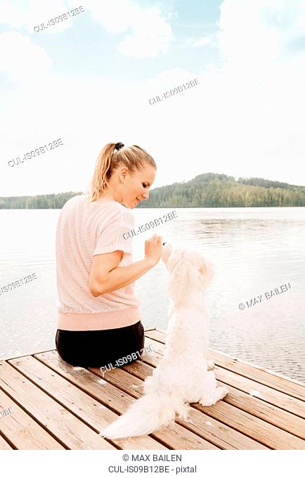 Woman petting Coton de tulear dog on lake pier, Orivesi, Finland