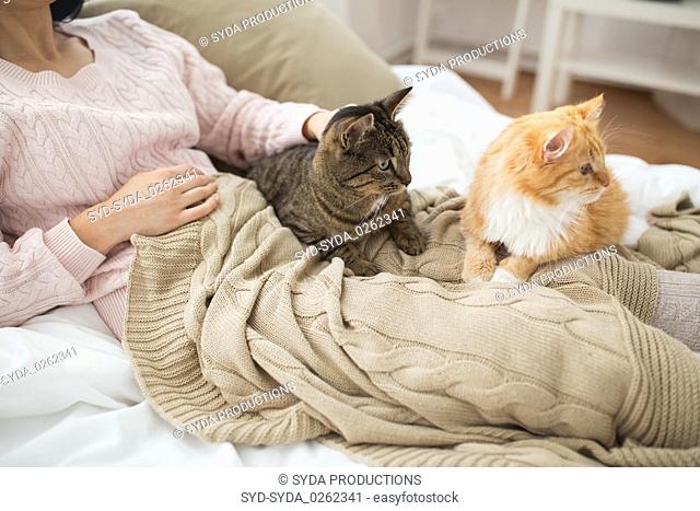 close up of owner with red and tabby cat in bed