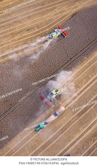 06 August 2019, Mecklenburg-Western Pomerania, Rosenhagen: The farmers harvest the market crop Lützow on a wheat field with combine harvesters