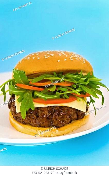 Hamburger with cheese and mixed tomato and salad