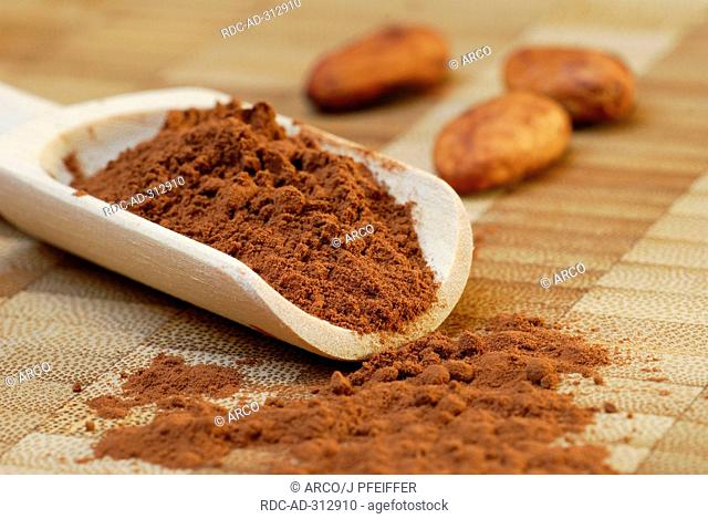 Cocoa powder and beans / Theobroma cacao