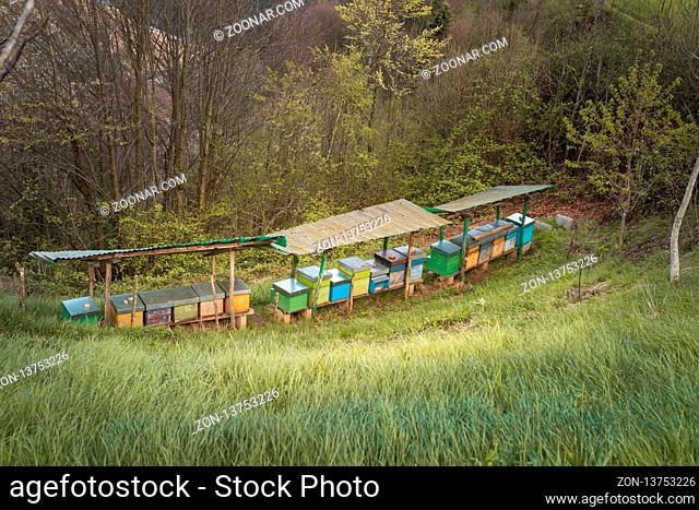 Bee hives on meadow in countryside of Italy, Bergamo(Seriana valley}The houses of the bees are placed on the green grass in the mountains