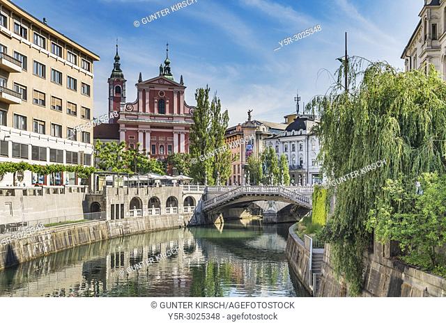 View over the river Ljubljanica to the promenade and the Franciscan church. The church was built between 1646 and 1660. It is located on the Preseren Square in...