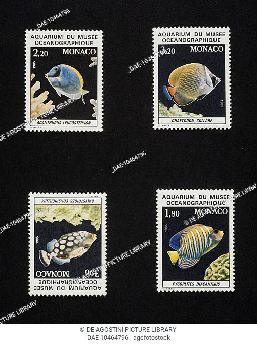 Series of postage stamps honouring the Aquarium of the Oceanographic museum depicting tropical fish, 1985, top from left