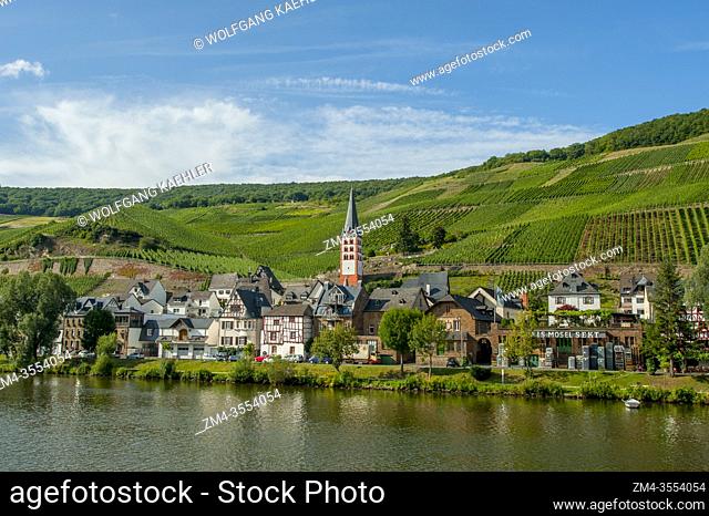 View of the picturesque village of Merl, a town on the Mosel River in the Cochem-Zell district in Rhineland-Palatinate, Germany
