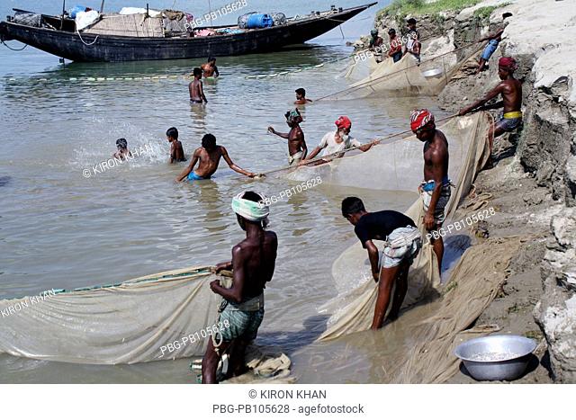 Fishermen catching fishes at the Padma River Pabna, Bangladesh June 2010