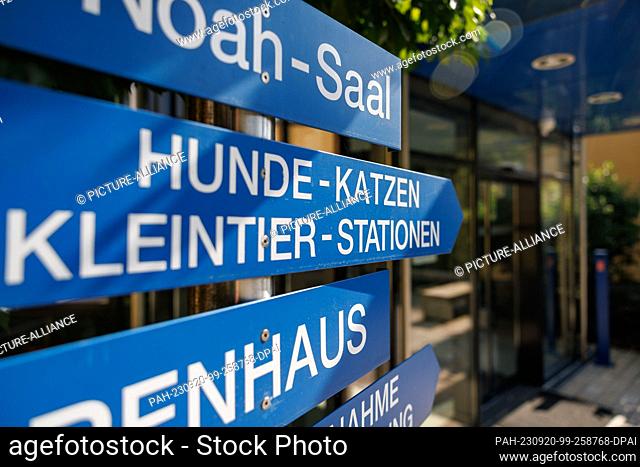PRODUCTION - 11 September 2023, Bavaria, Nuremberg: ""Dogs - Cats - Small Animal Stations"" is written on a sign at the entrance to the animal shelter in...