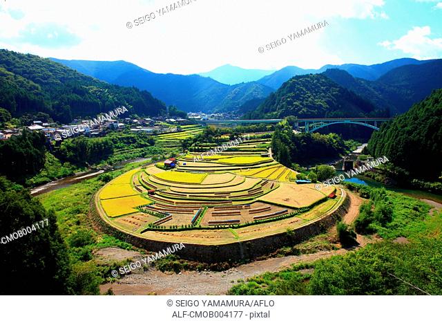 Farmland in Aridagawa, Wakayama Prefecture