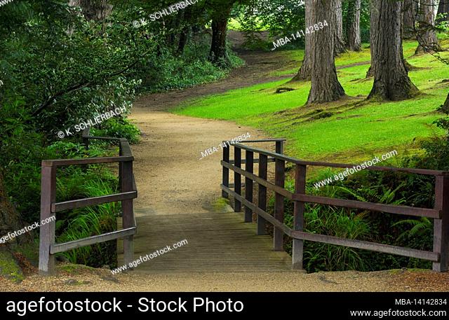 europe, republic of ireland, county wicklow, powerscourt gardens near enniskerry, footpath with wooden bridge