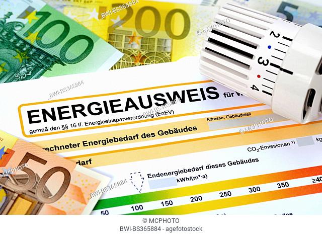 energy pass, euro bills and thermostat, symbol picture energy conservation regulations