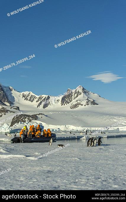 Tourists in zodiac exploring Adelie penguins on ice floes at Hope Bay (Antarctic Sound) in the Antarctic Peninsula region