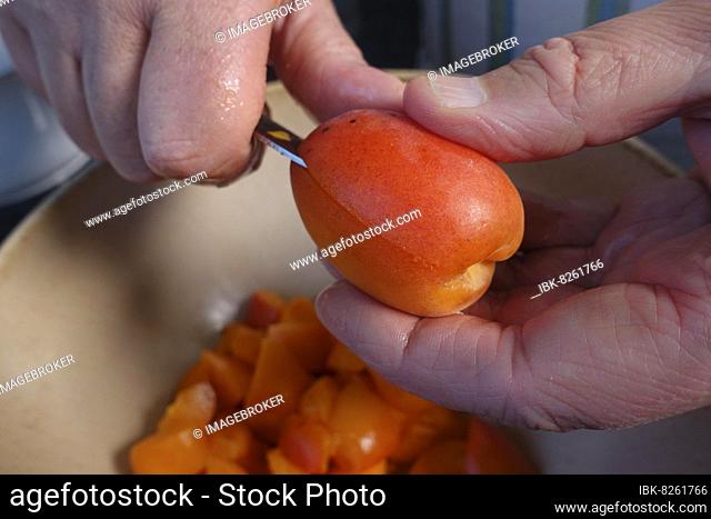 Swabian cuisine, preparing sweet oven sliders with apricots, apricot cutting, fruit, vitamins, vegetarian, healthy, dessert, baking, out of the oven