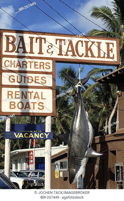 Eldorado for deep-sea angler, Islamorada, Florida Keys, Florida, USA