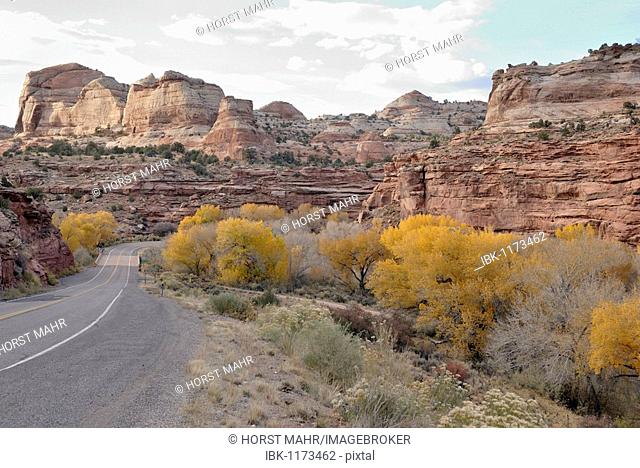 On Highway 12 in the valley of the Escalante River, Utah, USA