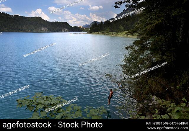 dpatop - 15 August 2023, Bavaria, Schwangau: A young man jumps from the steep bank into the turquoise water of the Alpsee