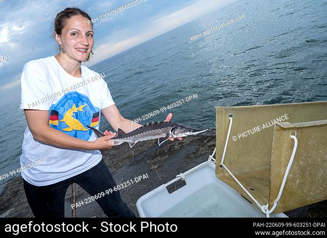 09 June 2022, Mecklenburg-Western Pomerania, Sassnitz: Christin Höhne, biologist and research assistant, at the Institute of Fisheries of the State Research...