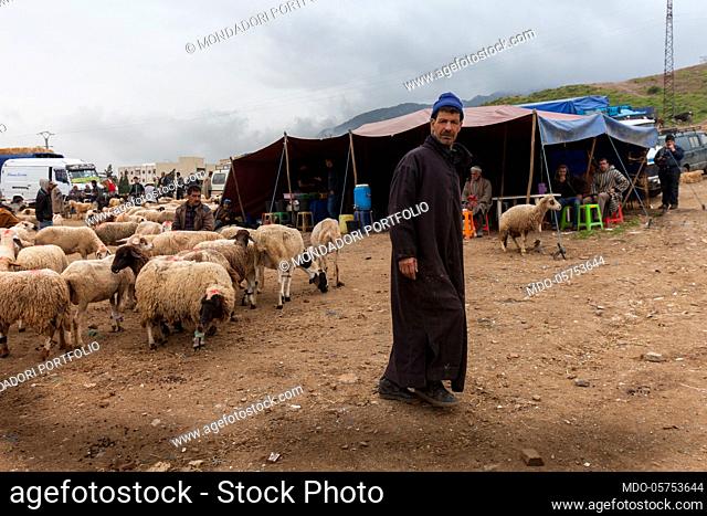 Sheep market on the road from Tangeri to Chefchaouen. Tetouan, Morocco April 2018