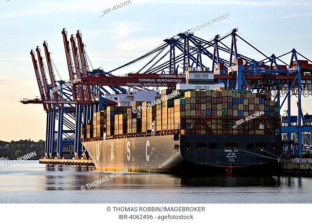 Container terminal Burchardkai in Walter Hofer the Port of Hamburg, Hamburg, Germany