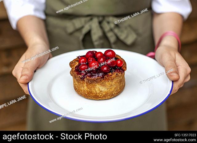 Turkey pie with cranberries