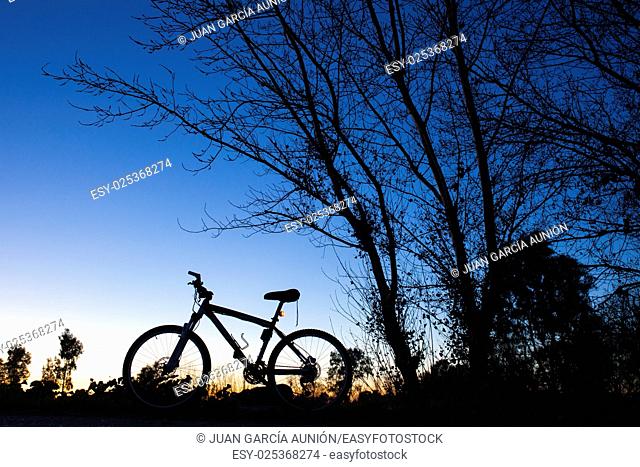 Silhouette of Mountain bike at sunset under tree on blue sky