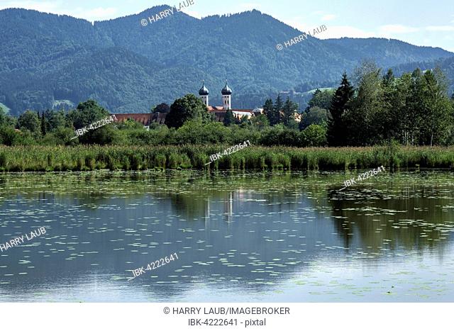 Marsh pond, Benediktbeurer moor, Kloster Benediktbeuern behind, Benediktbeuern, Upper Bavaria, Bavaria, Germany