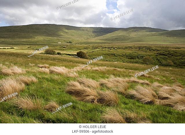 Grasses & Farmhouse, Glengesh Pass, County Donegal, Ireland