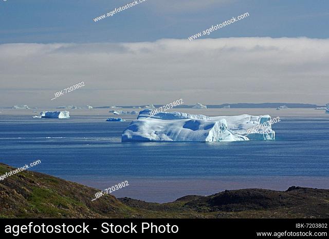 Arctic landscape, wide bay with icebergs and red traces of volcanic rock, Disko Island, Qeqertarsuaq, Arctic, Greenland, Denmark, North America